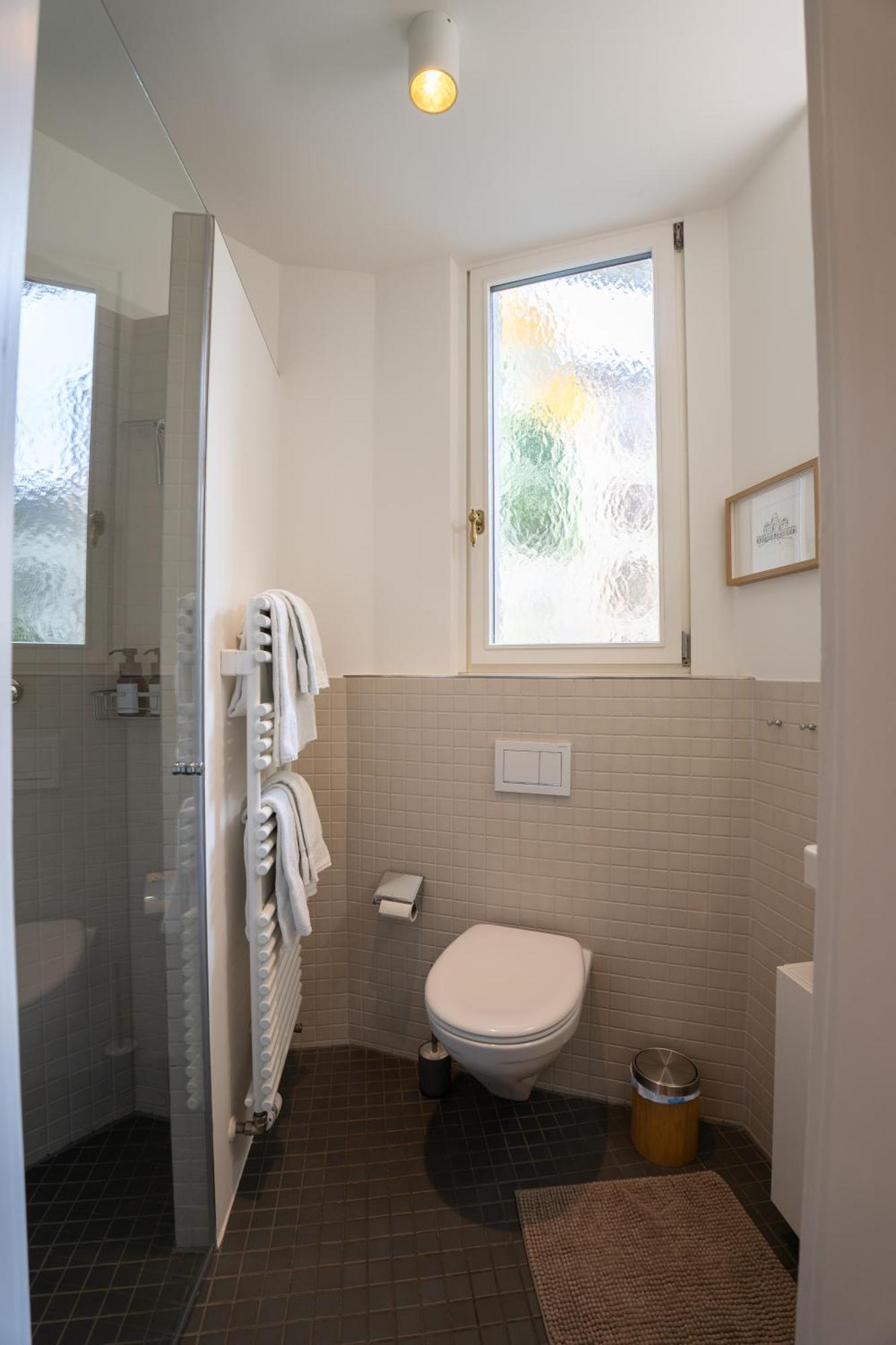 Charmante Altbauwohnung Am Rhein Basel Ngoại thất bức ảnh